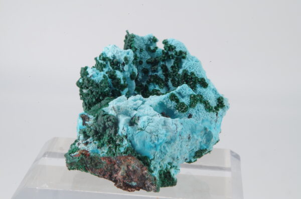 Chrysocolle et Malachite du Congo