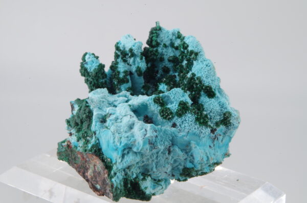 Chrysocolle Malachite, Congo