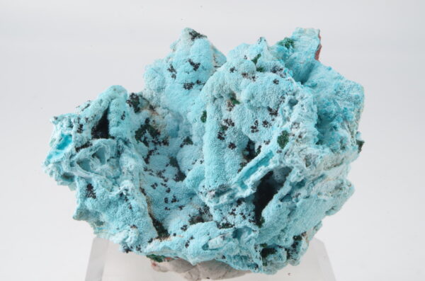 Chrysocolle et Malachite du Congo