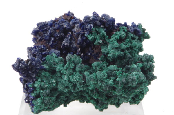 Azurite et Malachite sur Goethite du Maroc