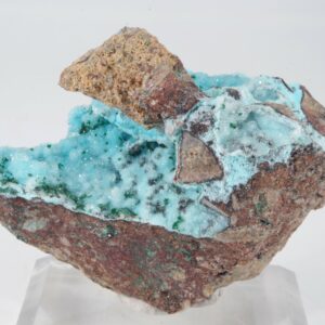 Chrysocolle du Congo