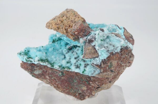 Chrysocolle du Congo