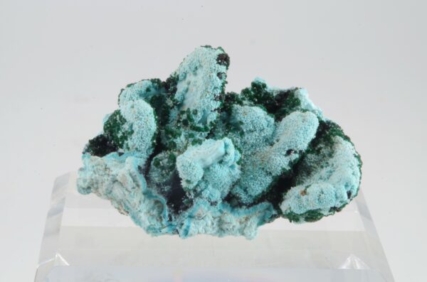 Chrysocolle et Malachite du Congo