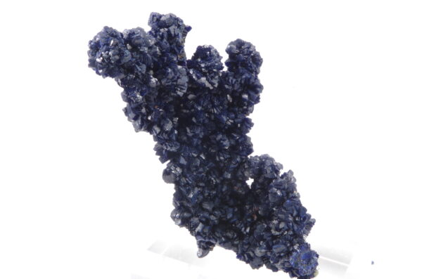 Azurite sur Goethite du Maroc