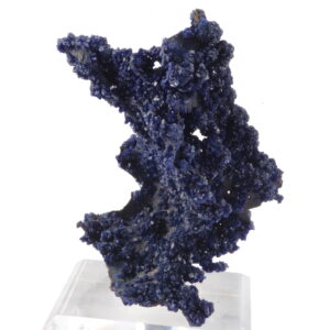Azurite sur Goethite du Maroc