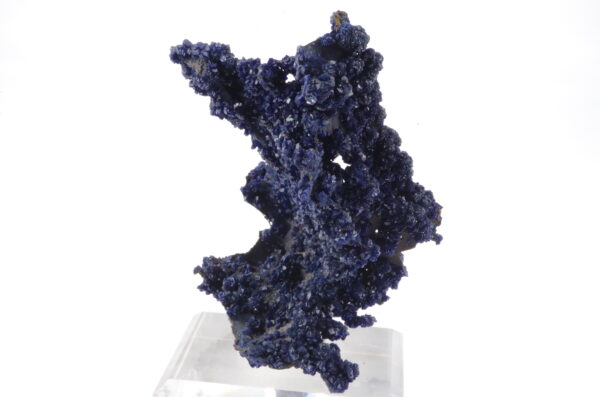 Azurite sur Goethite du Maroc